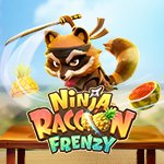 Ninja Raccoon Frenzy